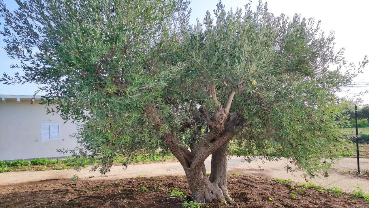 Villa Le Zagare Di Vendicari Lido di Noto Exterior foto